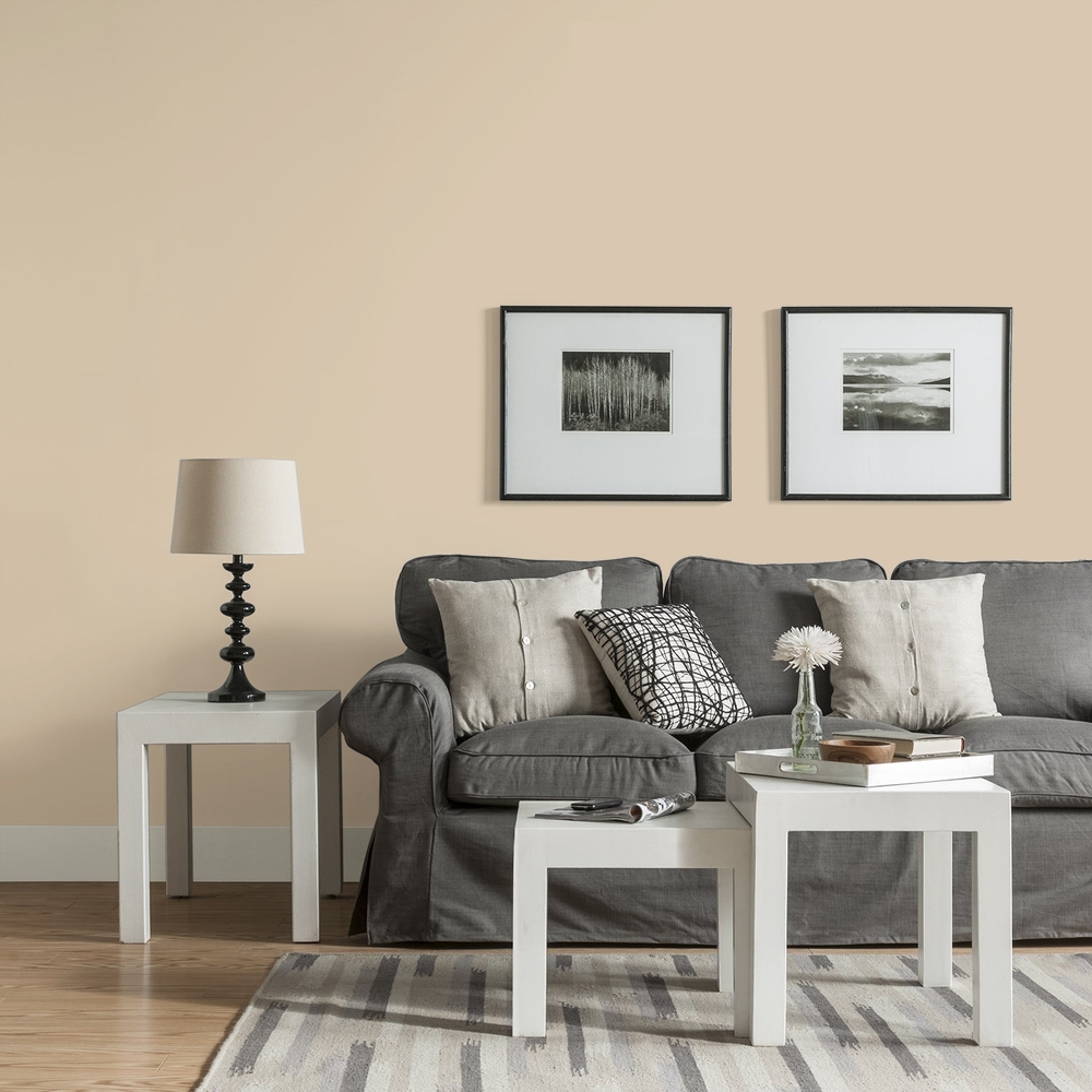 Glidden living room image