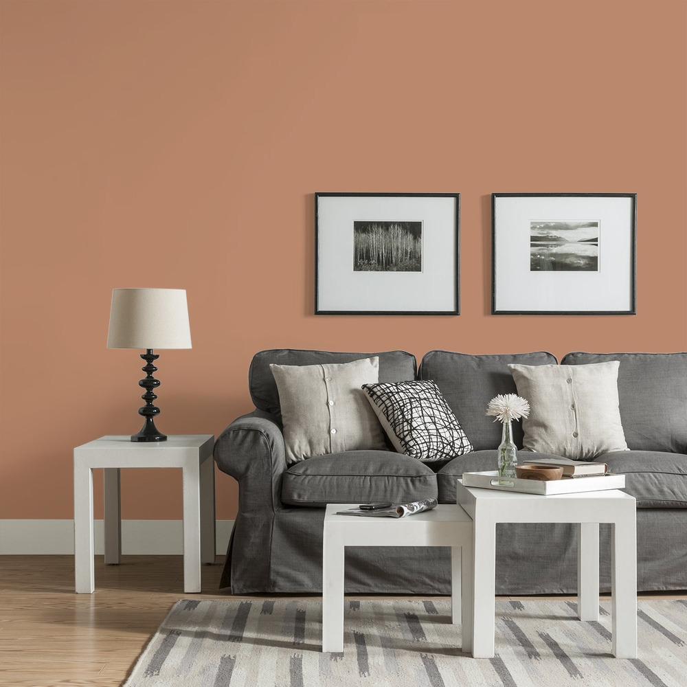 Glidden living room image