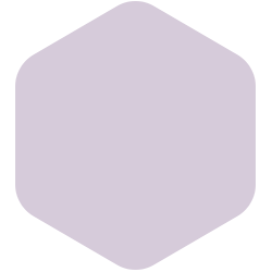 Dusky Lilac