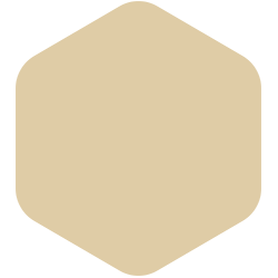 Neutral Beige